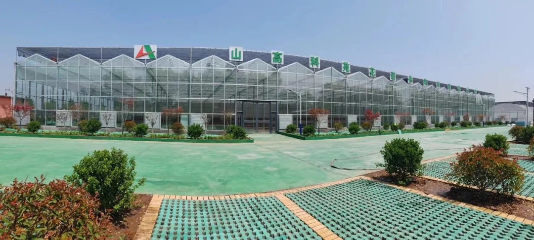 3c18a998e24a3f0fd50388a7a988d241_640_wx_fmt=jpeg&from=appmsg&tp=webp&wxfrom=5&wx_lazy=1&wx_co=1 3c18a998e24a3f0fd50388a7a988d241_640_wx_fmt=jpeg&from=appmsg&tp=webp&wxfrom=5&wx_lazy=1&wx_co=1